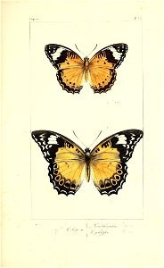 n228_w1150