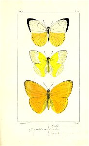 n174_w1150
