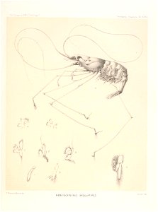 n554_w1150