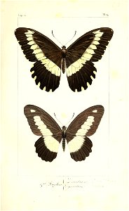 n102_w1150