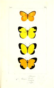 n162_w1150