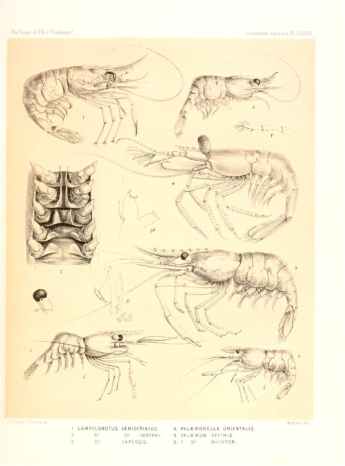 n546_w1150