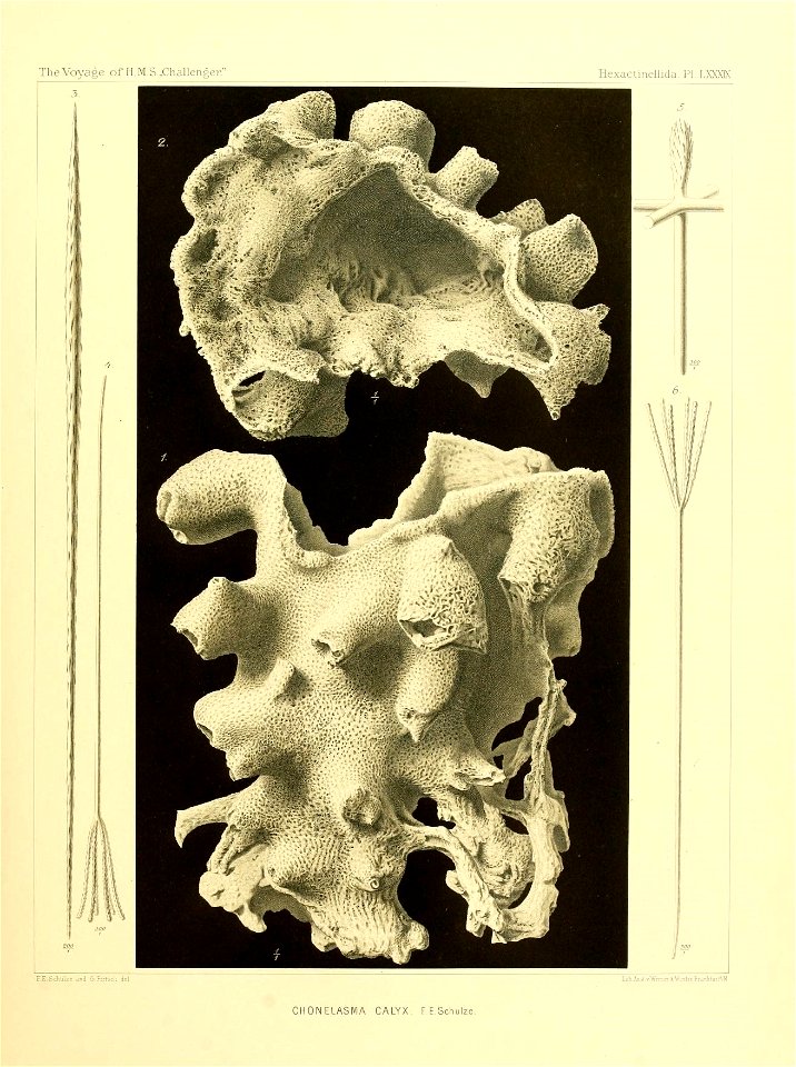 n366_w1150
