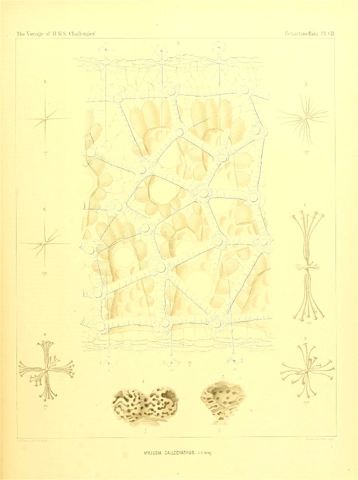 n422_w1150