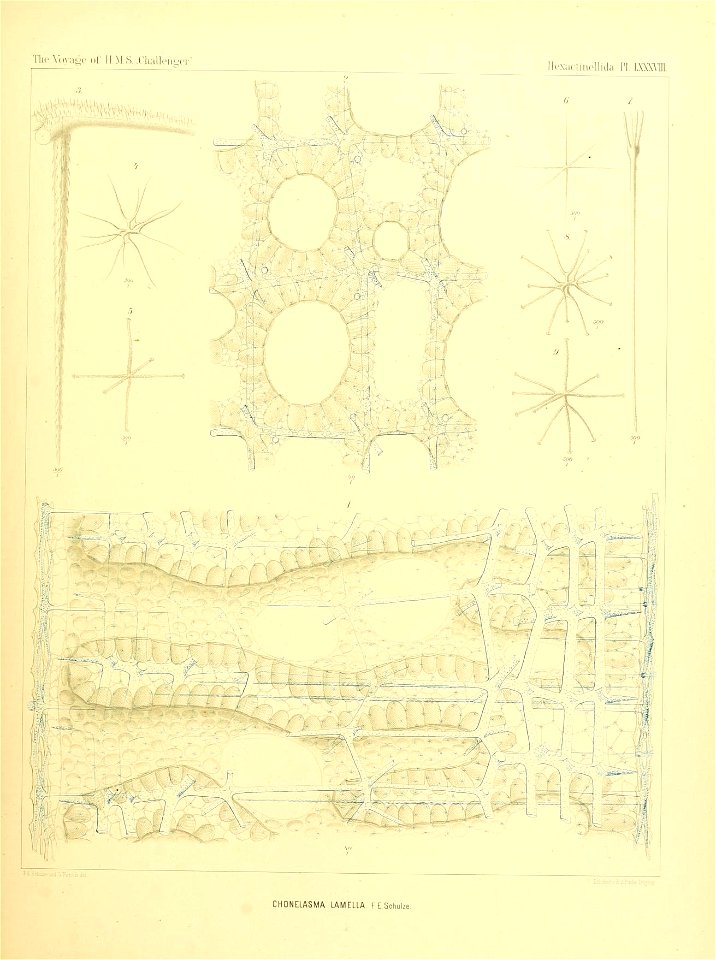 n362_w1150