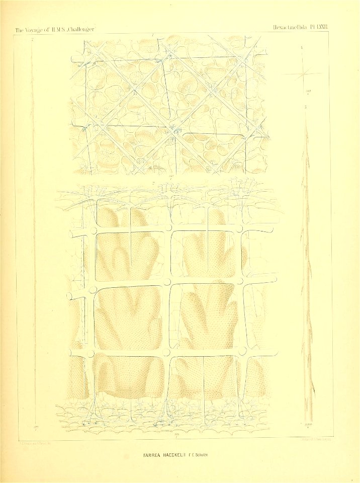 n302_w1150