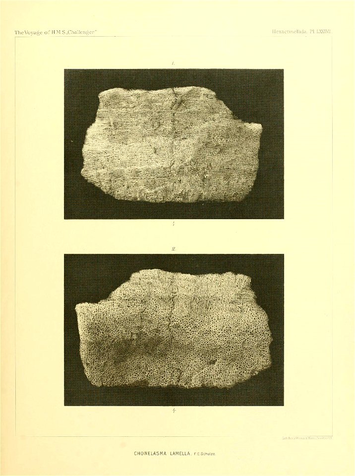 n358_w1150