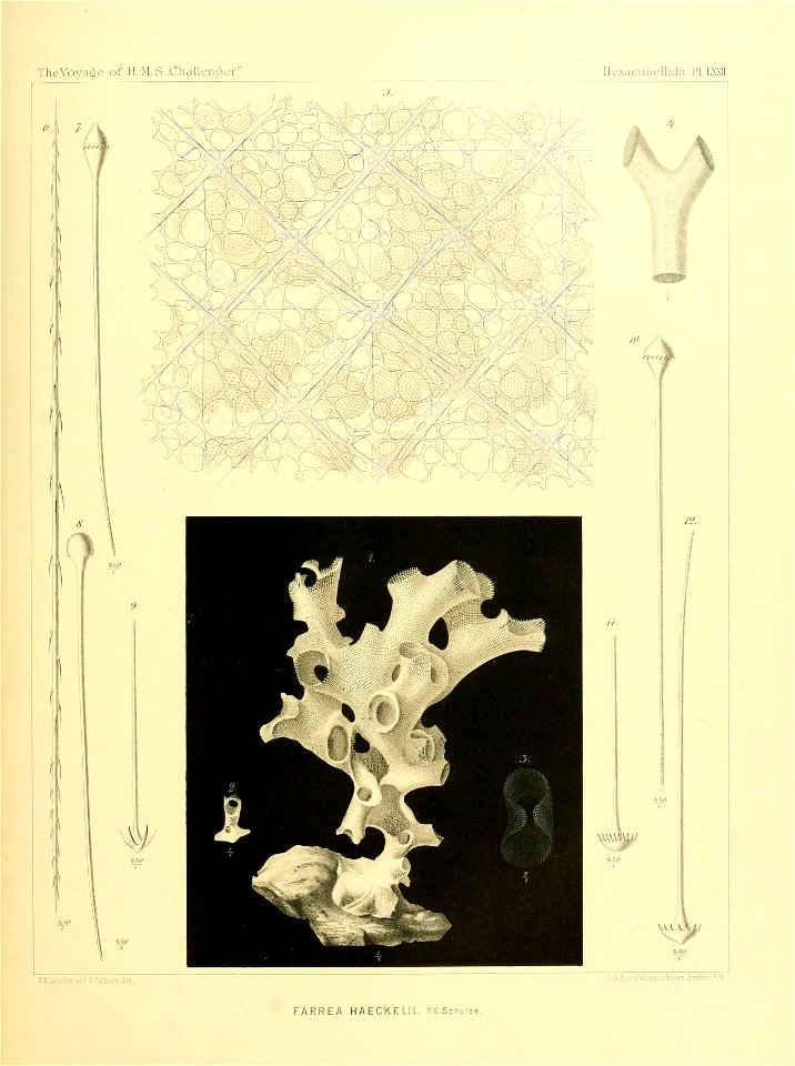 n298_w1150