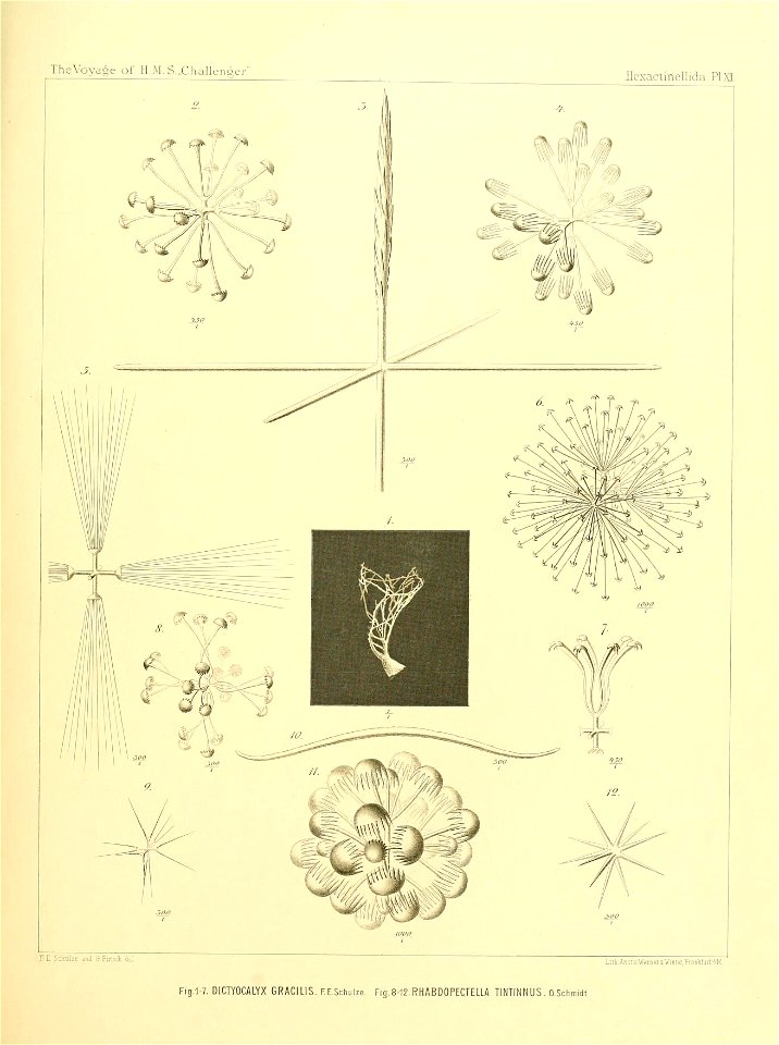 n58_w1150