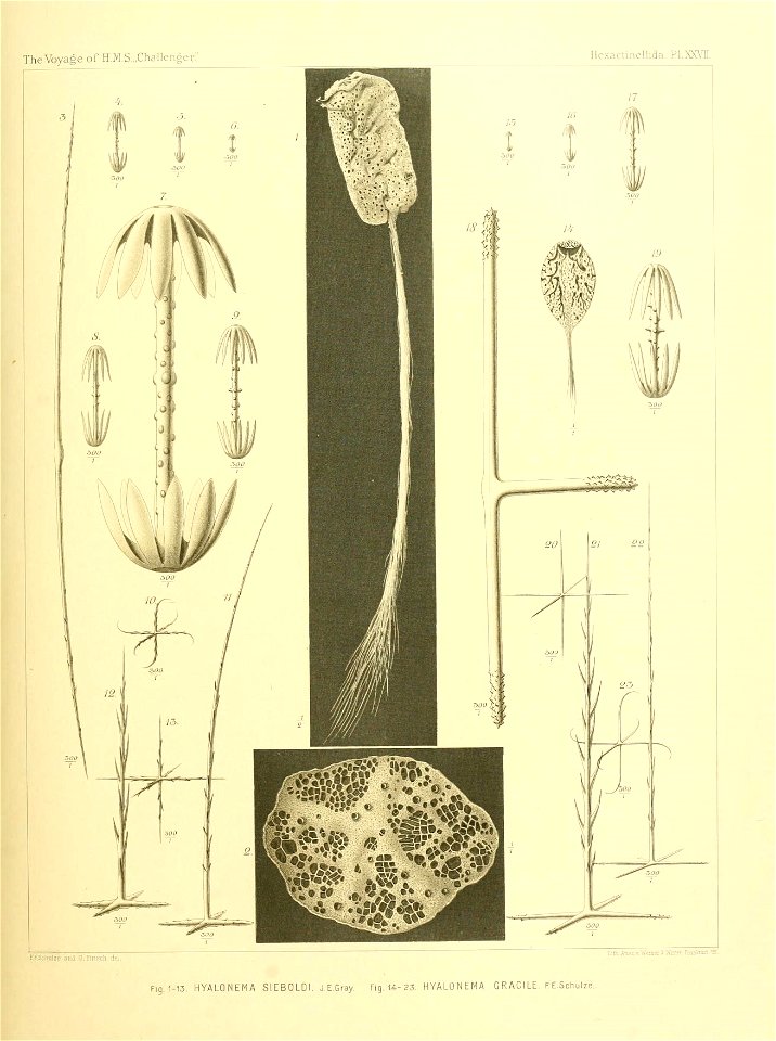 n118_w1150