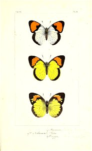 n148_w1150