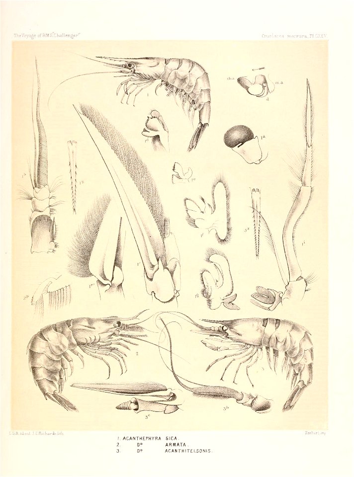 n534_w1150