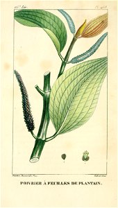 n43_w1150