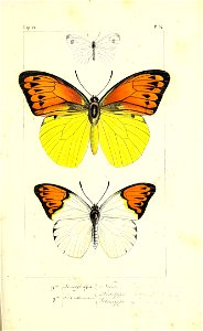 n146_w1150