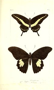 n56_w1150