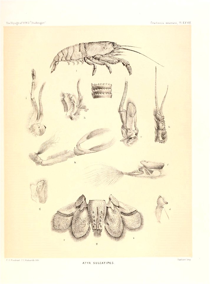 n506_w1150