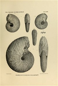 n502_w1150