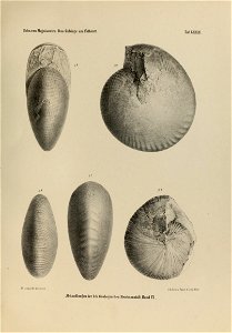 n20_w1150