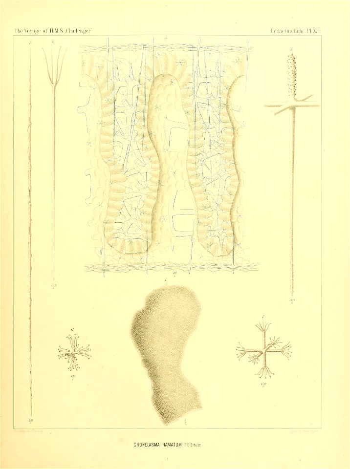 n374_w1150