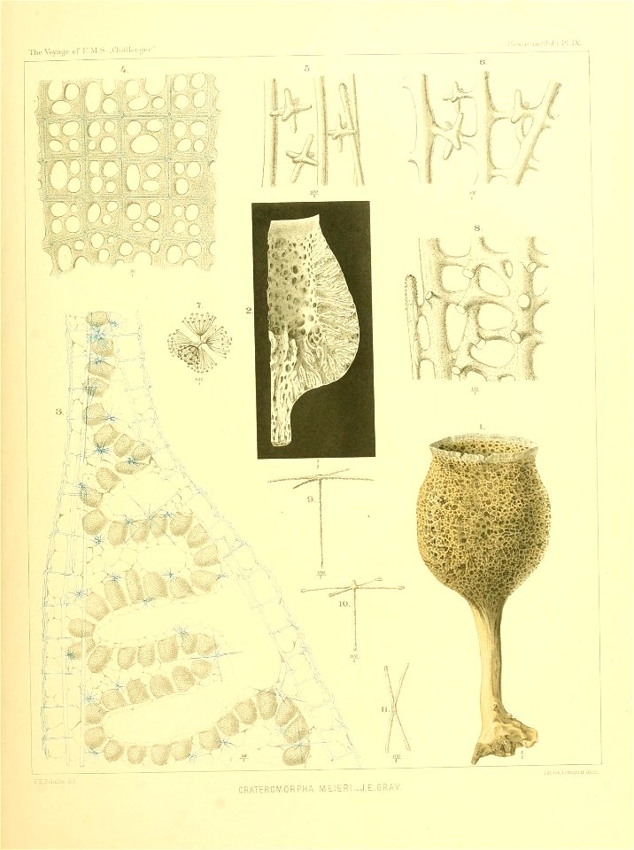 n254_w1150
