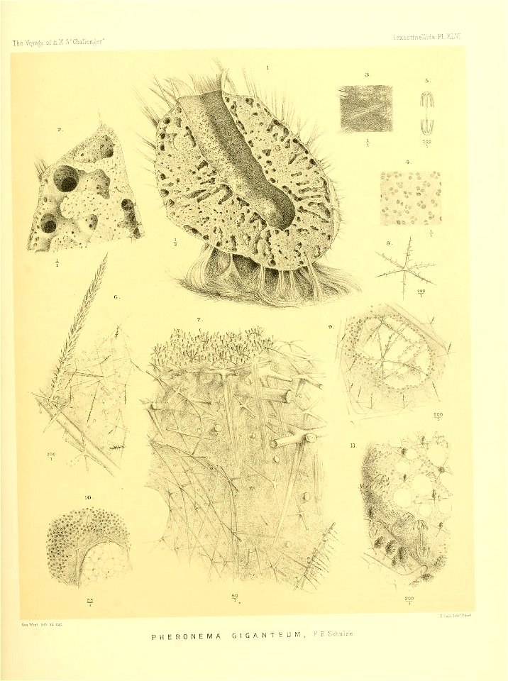 n194_w1150