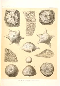 n416_w1150