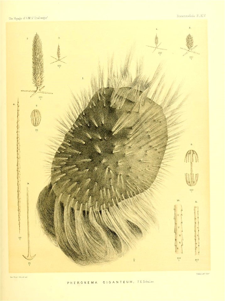 n190_w1150