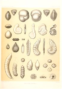n468_w1150