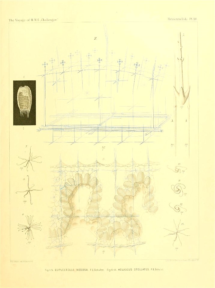 n66_w1150