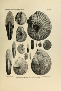 n366_w1150