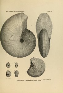 n126_w1150
