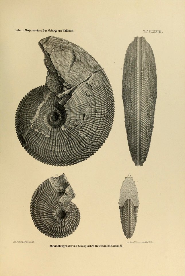 n482_w1150