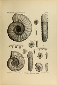 n302_w1150