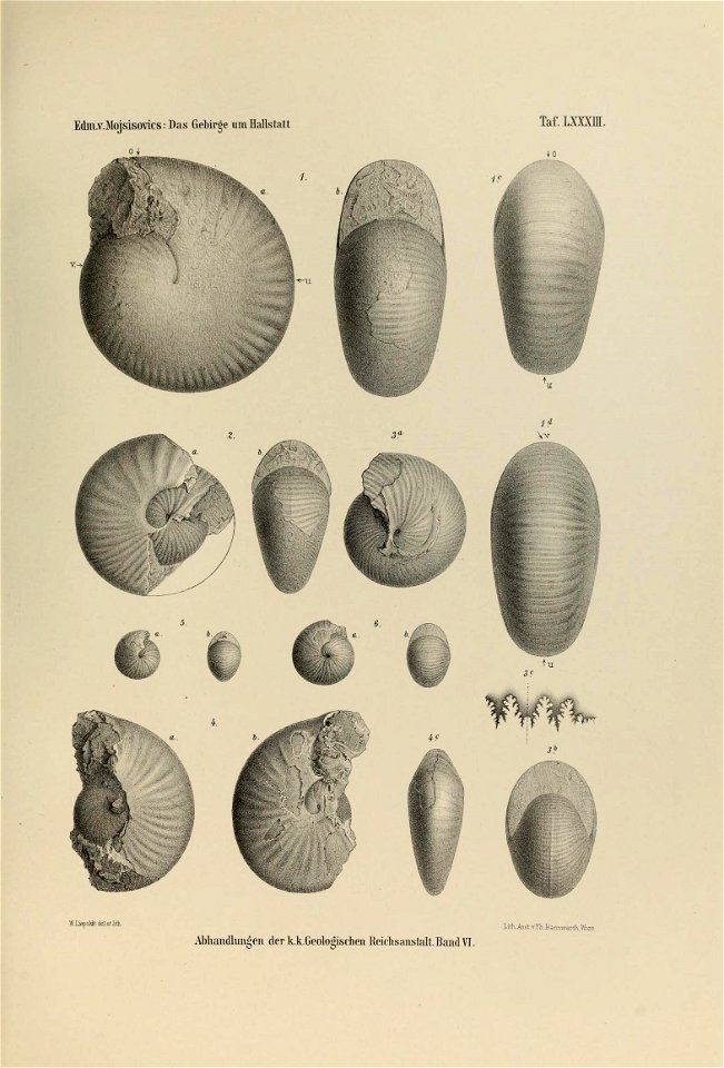 n62_w1150