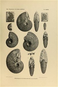 n478_w1150