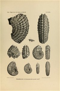 n418_w1150
