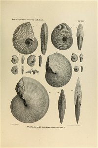 n358_w1150