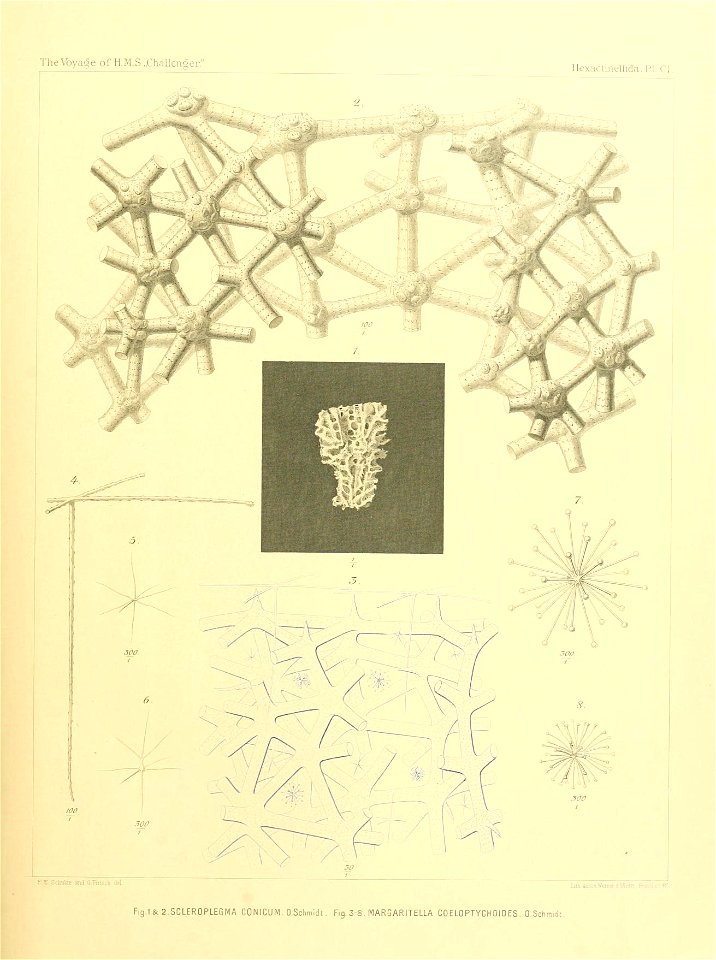 n414_w1150