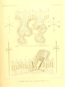n54_w1150