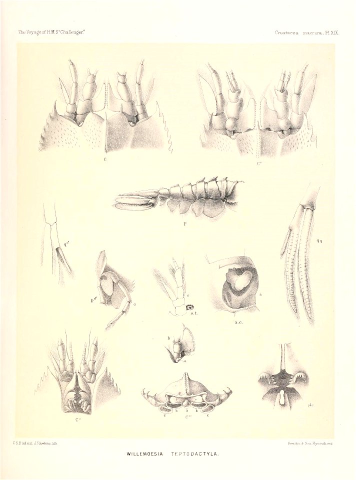 n112_w1150
