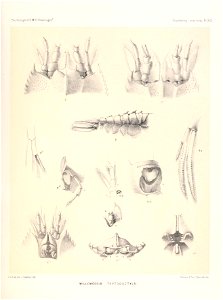 n112_w1150