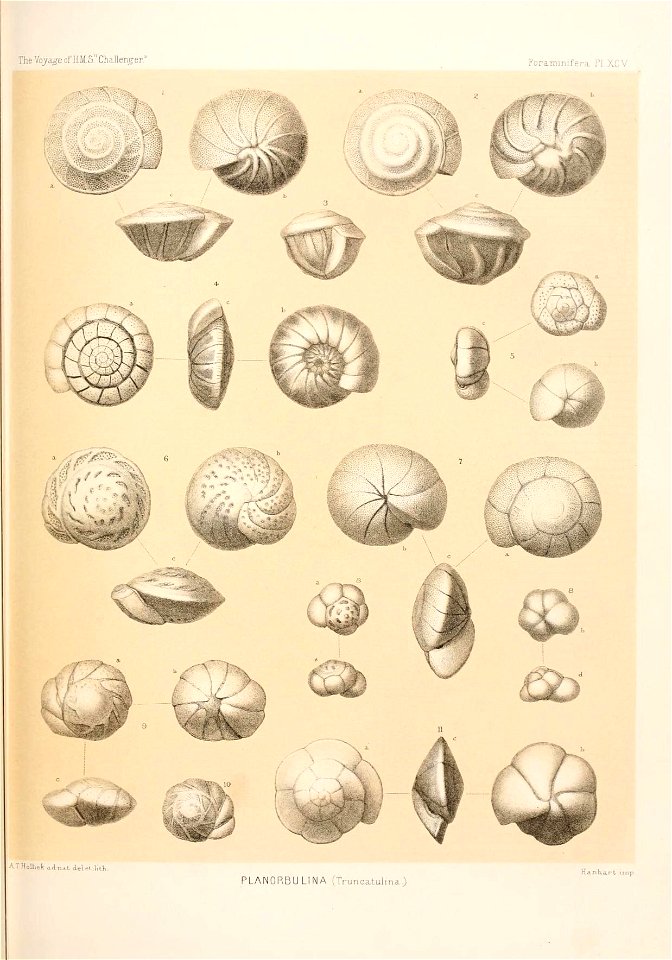 n392_w1150