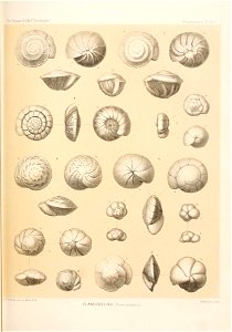 n392_w1150