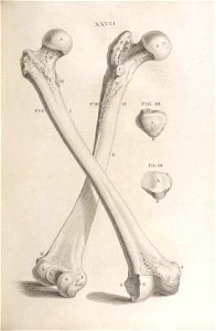n114_w1150