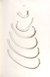 n200_w1150