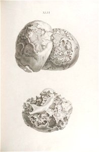 n256_w1150