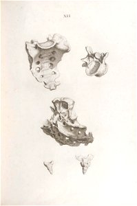 n196_w1150