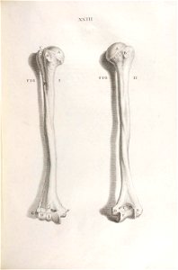 n106_w1150