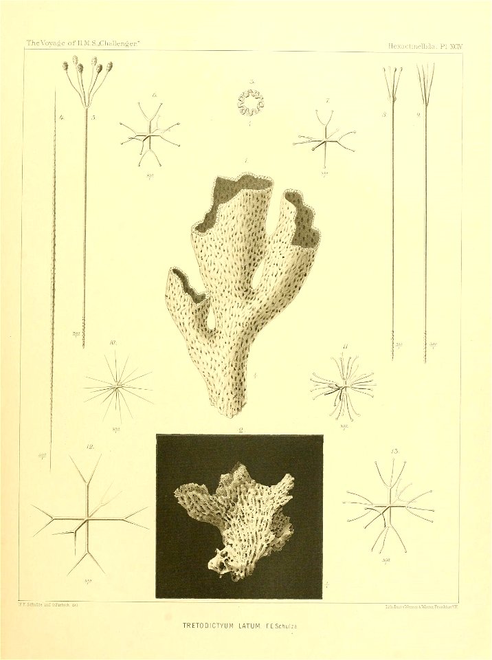 n386_w1150