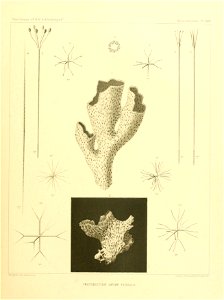 n386_w1150